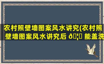 农村照壁墙图案风水讲究(农村照壁墙图案风水讲究后 🦆 能盖洗澡间 🦉 吗)